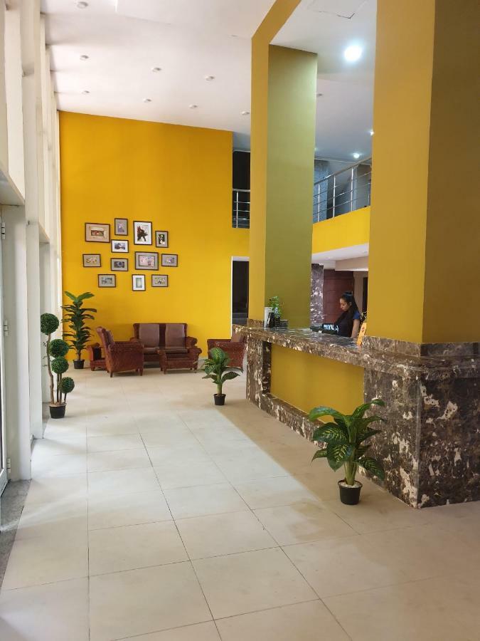 Apartment Dokki
